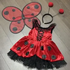 ハロウィン コスプレ 子供 てんとう虫 95cm いないいないばあ NHK 