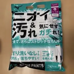 Mizuno ショートフィットタイプ 練習用パンツ 0