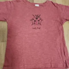 petit main てんとう虫プリント Tシャツ 110cmのサムネイル