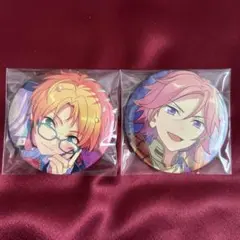 あんさんぶるスターズ テーマスカウト 缶バッジ 真