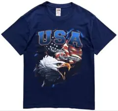 レア 00s ミリタリー 軍モノ USA イーグル 戦闘機 星条旗 Tシャツ L