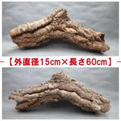 B076ポルトガル産 キャノンコルク コルク樹皮 コルク板 バージンコルク