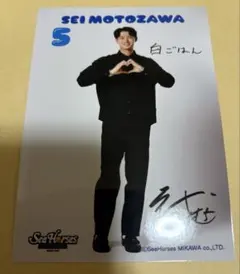 シーホース三河　元澤誠　写真