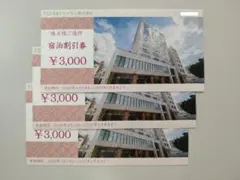 トーセイ 株主優待 宿泊割引券 ３枚 (9000円分) 株主優待券