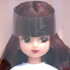 2026年最新】リカちゃんキャッスル バレンタイン リカちゃんの人気