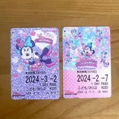 ミニー パルパルーザ ミニファン リゾラ きっぷ リゾートライン 2枚 2024