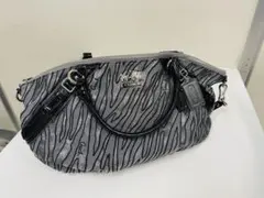 Item thumbnail for item 088b3d8a-bcfb-4ed6-b6a5-e9e399a58aa1