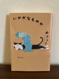 いかがなものか