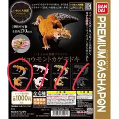 いきもの大図鑑 アドバンス ヒョウモントカゲモドキ　　一種類