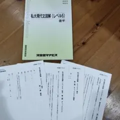 河合塾マナビス 私大現代文読解(レベル5) 後半