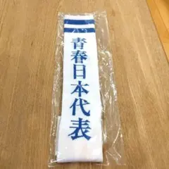 新しい学校のリーダーズ　青春日本代表靴下（白）女子用のサムネイル