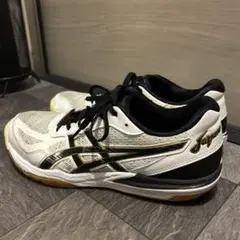 アシックス ローテジャパン ライトFF バレーボールシューズ