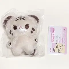 ホシ　ぬいぐるみ　seventeen 10cm マスター  人形　ドール