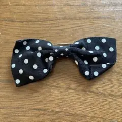 Item thumbnail for item 8c38228d-6c6d-452c-94cd-2552a8569e0a