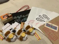 ジブリパーク限定 ハウルの動く城 ヒン キーホルダー　カルシファ　マグネット