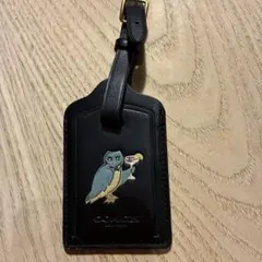 Item thumbnail for item 6294a8cf-8e2b-436b-81bd-341e5cd47c5b