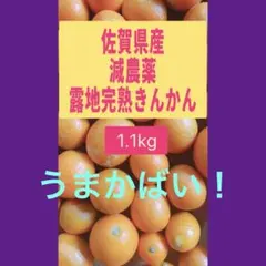 2026年最新】みかんさんの人気アイテム - メルカリ