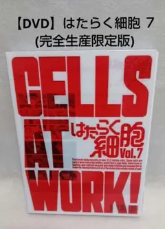 にこ様 リクエスト 4点 まとめ商品