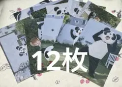 ワンエン　山下永玖　EIKU 25th Birthday生誕生写真　12枚セット