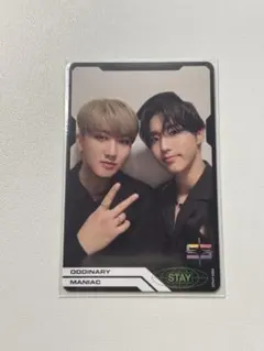 Straykids ODDINARY アルバム封入トレカ ハニビニ