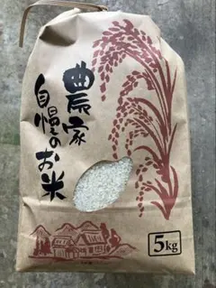 知多米コシヒカリ5キロ(お米受取券) 2枚 - メルカリ