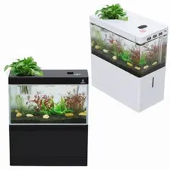 ビオトープ風メダカ水槽 卓上アクアリウム 自動循環 USB給電 - メルカリ