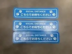 ソーシャルディスタンスステッカー4010 ネコ