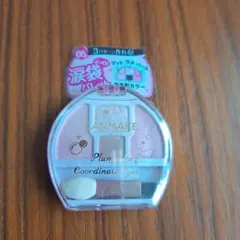 【未使用】CANMAKE 涙袋パレット05