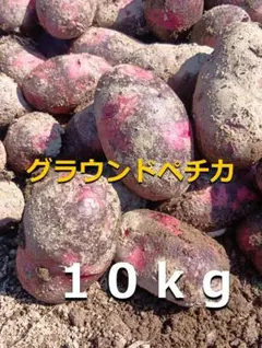 じゃがいも グラウンドぺチカ(デストロイヤー）10キロのサムネイル
