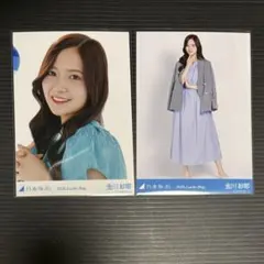 Item thumbnail for item 5e30fe28-0ed9-41b3-92d1-5d6902e554de