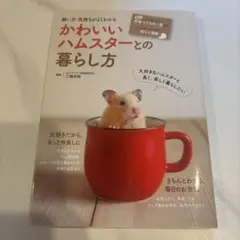 かわいいハムスターとの暮らし方