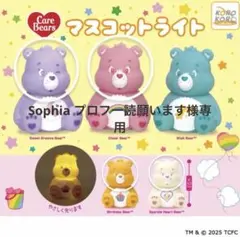 ケアベア マスコットライト 紫・ピンク・オレンジ・白セット