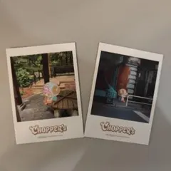 希少　ONEPIECE BASE SHOP 特典 チョッパー CHOPPER’S