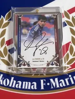 Item thumbnail for item 168ad623-fa54-48d1-8142-85813210d276