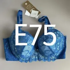 E75 ウイング/ワコール　レシアージュ　ブラジャー PB2921