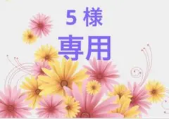 5 様 専用 フェルトおままごと　 お寿司セット（ハンドメイド）2セット