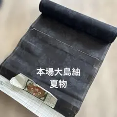 Item thumbnail for item 2f01f5e0-430e-4214-a40e-fb67c9c326cd