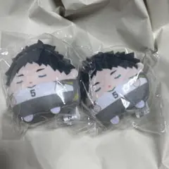 赤葦京治 くじメイト ぬいくじ E賞