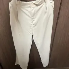 Item thumbnail for item 451c78c9-b44c-407b-8ebc-488cc95bdf58