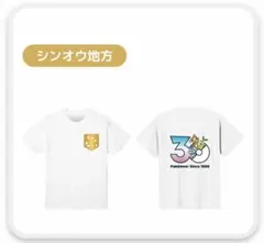 新品 未開封 ポケモン足跡Tシャツ30周年 BOSS キャンペーン シンオウ地方