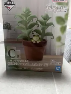 一番くじ 爬虫類&両生類 C賞 ニホンアマガエルと観葉植物アクセサリー