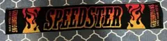 ☆GENERATIONS【 SPEEDSTER】 LIVEマフラータオル☆