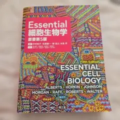 Item thumbnail for item 6d1a5bd4-b49e-4aa8-bc15-34dd9a407c91