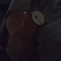 Item thumbnail for item 6c1fe660-2029-4181-8653-bcdbb23112e2