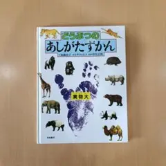 Item thumbnail for item 6dc65317-cac1-41ba-b86c-fbbc1deaee4a