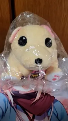 2026年最新】ころわん ぬいぐるみの人気アイテム - メルカリ