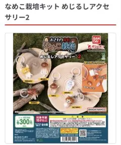 なめこ栽培キット めじるしアクセサリー2 長なめこ