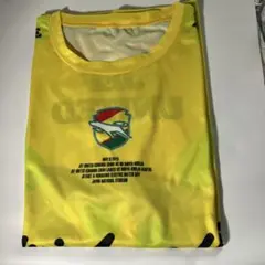 ジェフユナイテッド千葉 ナビスコ杯 優勝記念Tシャツ Lサイズ - メルカリ