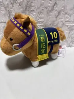 2025年最新】マヤノトップガン ぬいぐるみの人気アイテム - メルカリ