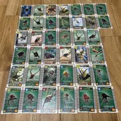 ムシキング【2004ファースト】ノーマルムシカード コンプ21種類セット